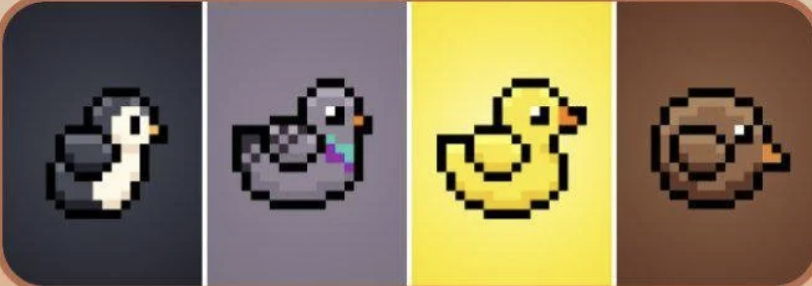 BIRD Daily Combo 31 May 2025